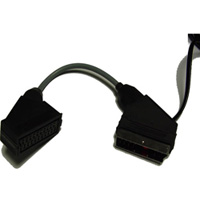 20070529190541-2-scart adapter